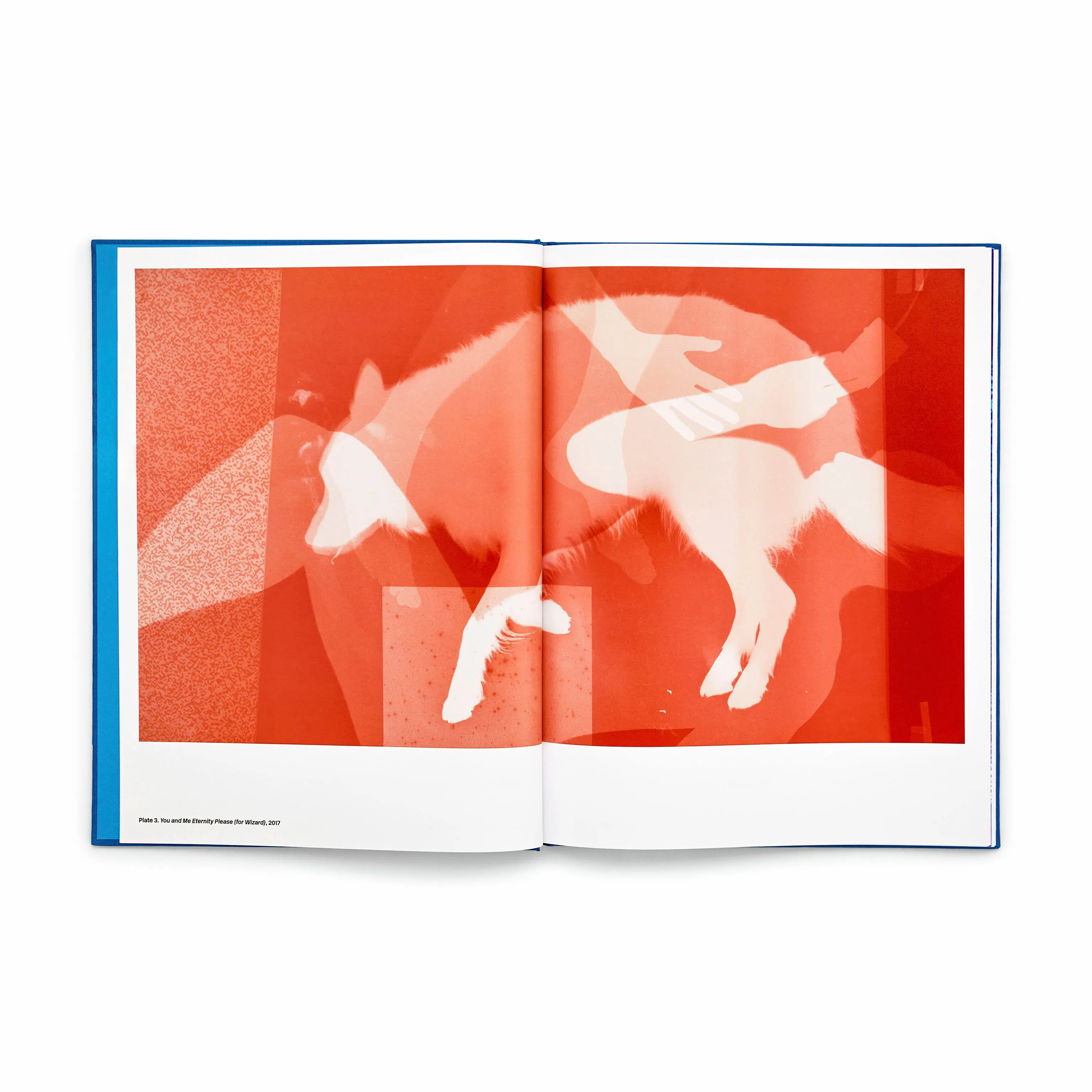 David Benjamin Sherry: Pink Genesis - Hardcover