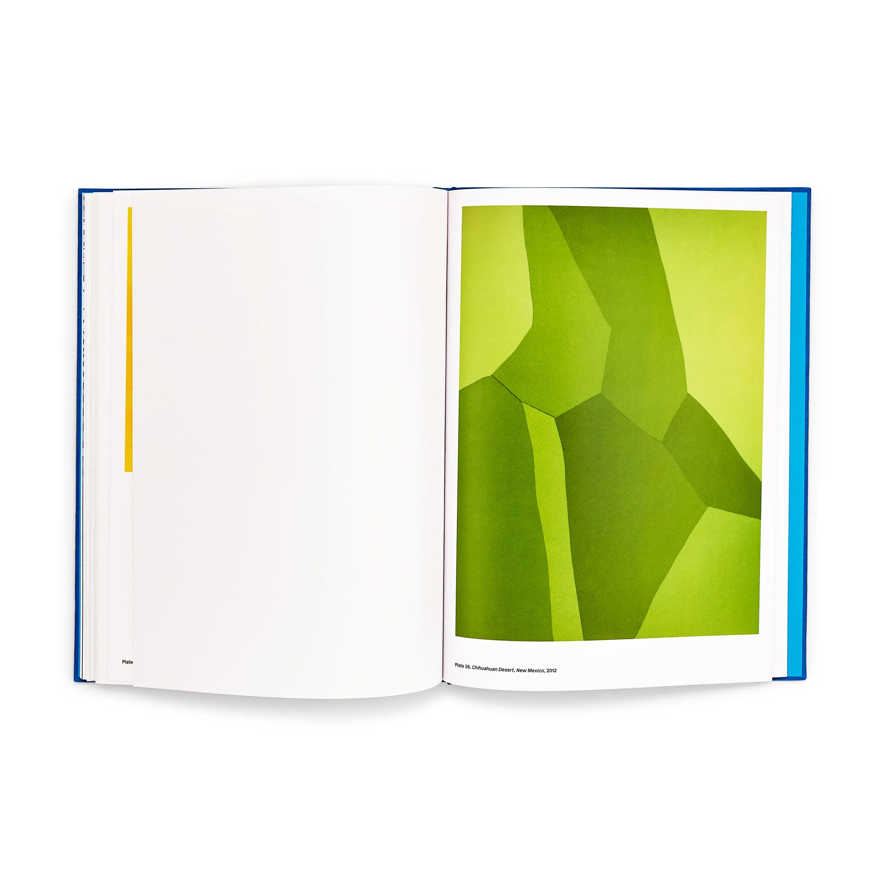 David Benjamin Sherry: Pink Genesis - Hardcover