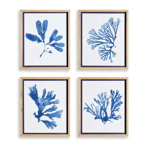 INDIGO SEAWEED PRINTS, SET OF 4 BY NAPA HOME & GARDEN