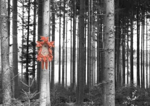 "Orange Clock in Woods" - Canvas Print - Selina Haas*